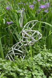 Field Rabbits