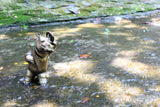 Brad Oldham bronze hippo sculpture Faux Faux Frenchie