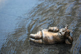 Brad Oldham bronze hippo sculpture model of perfection gift
