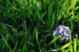 Wise 3.5-inch-tall edition