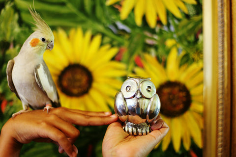 Wise 3.5-inch-tall edition